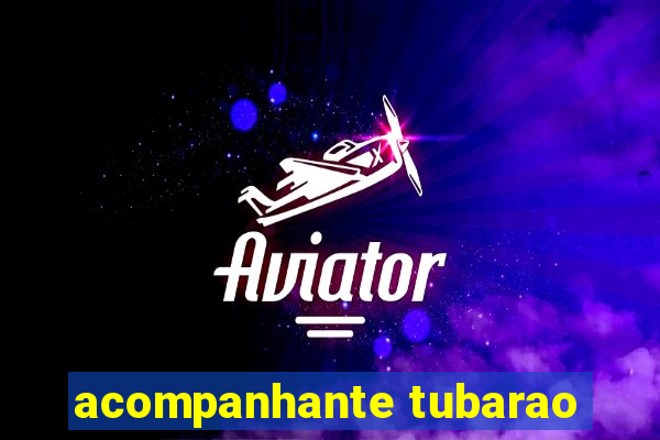 acompanhante tubarao